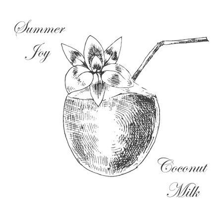 vector coconut hand drawn sketch with palm leaf. vintage style detailed ink and pencil illustrationsのイラスト素材