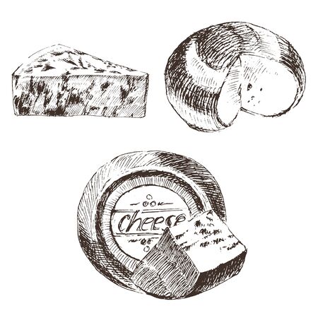 vector cheese sketch drawing designer template. farm food collection. hand drawn dairy productsのイラスト素材