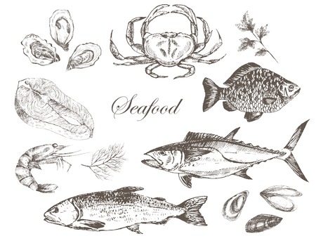 vector hand drawn seafood set - shrimp, crab, lobster, salmon, oyster, mussel, tuna, trout, carp. mediterranean cuisine seafood sketchのイラスト素材