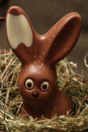 Chocolate easter bunny in a basket
