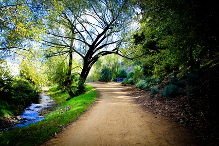 Tasmanian Natureの写真素材