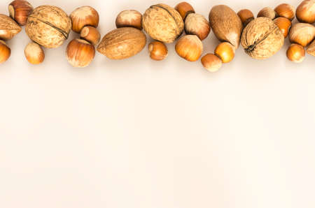 walnut line isolated on white backgroundの写真素材