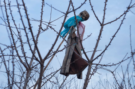 clasic scarecrow in a tree