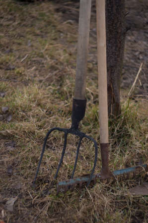 rustic fork and rake in natural environmentの写真素材