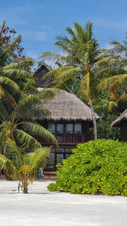 Tropical bungalows on the island of Zanzibarの写真素材