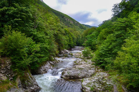 A river with clear, rushing water flows through a dense forest in a mountainous area. The scene...