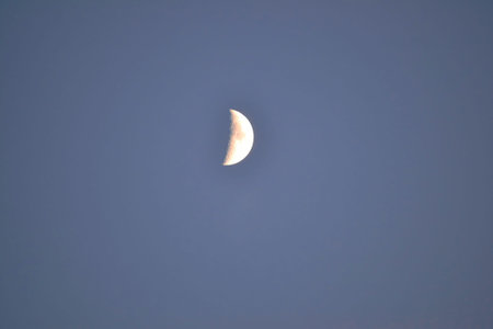 A clear view of a half moon set against a deep blue sky, showcasing the celestial body's details and texture with no additional elements present.の写真素材