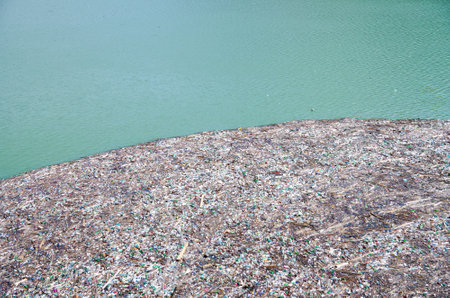 A shoreline covered with plastic waste, twigs, and colorful fragments contrasts with the calm greenish water, highlighting environmental pollution.の写真素材