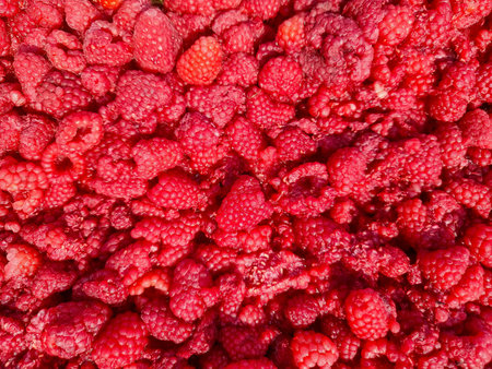 A detailed close up of vibrant red raspberries, tightly packed and showcasing textured surfaces with...