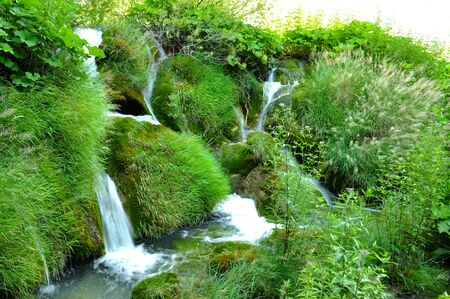 Small waterfalls through mossy rocksの写真素材