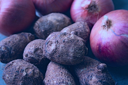 Fresh onions and corms picked from a nearby farmer's market.の写真素材