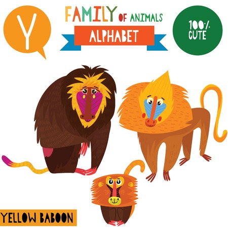 Letter Y-Mega big set.Cute vector alphabet with family of animals in cartoon style.のイラスト素材