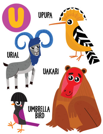 English alphabet with cute animals vector illustrations set. Funny cartoon animals: upupa,urial,uakari,umbrella bird. Alphabet design in a colorful style.のイラスト素材