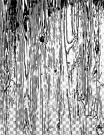 Texture with wood effect on the transparent and white background. Background. Grunge Vector. Texture effectのイラスト素材