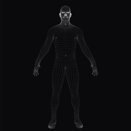 3D human body. Dotted wireframeのイラスト素材