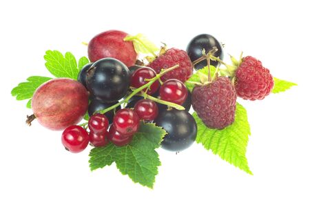 Gooseberry, raspberry, red and black currant on a white background の写真素材
