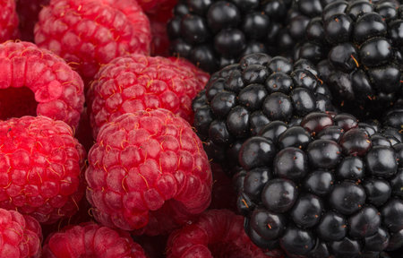 background of beautiful berriesの写真素材