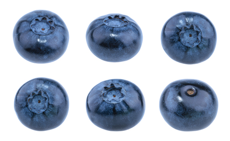 Blueberries isolated on white background without shadowの写真素材