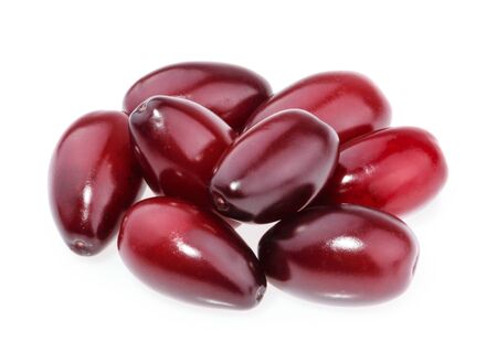 Red berries of cornel or dogwood isolated on whiteの写真素材