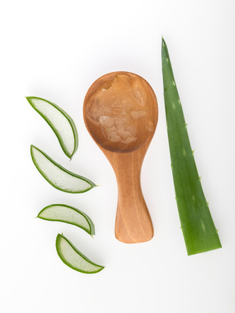 Aloe vera plant on white background top viewの写真素材