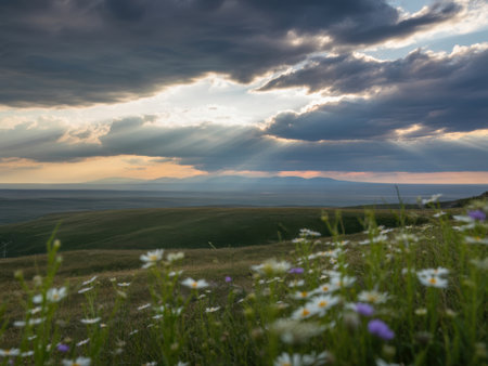 Dramatic sunbeams break through stormy clouds over rolling green hills dotted with wildflowers.の素材