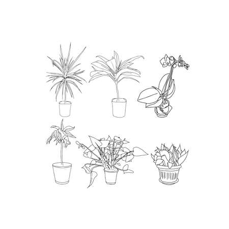 Six houseplant (Dracaena, Anthurium, Orchid, Sansevieria) circuit outlinesのイラスト素材
