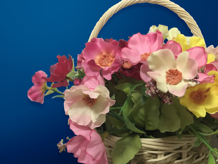 Colorful Plastic flowers (artificial flowers) and plastic leaves in the light brown wicker basket isolated with clipping path on the dark blue backgroundの写真素材
