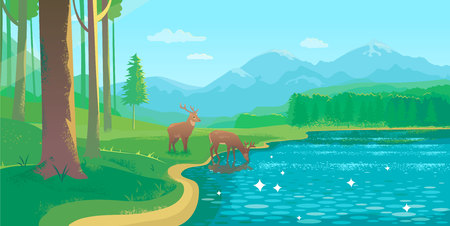 Summer Landscape With Lake and Deerのイラスト素材