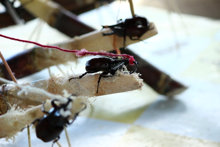 Guangzhouの写真素材