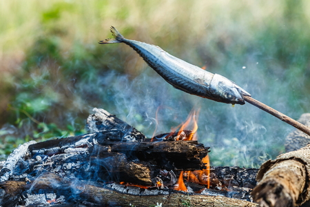 Fish grill,Scomber.の写真素材