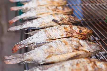 Grilled Fish,Tilapia nilotica.の写真素材