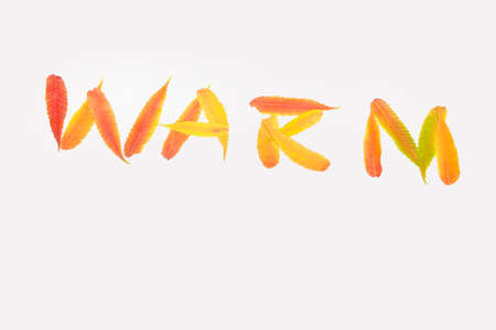 Autumnの写真素材