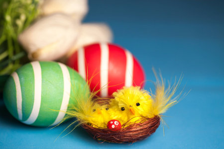 Yellow chicks in the nest and easter eggs on a blue background