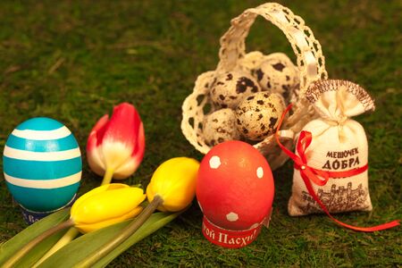 Painted eggs, tulips and quail eggs in a basket on green moss