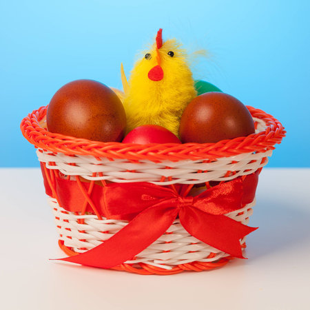 Yellow chicken sits in a red and white basket among dyed eggs on a blue background