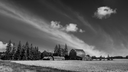 Alberta Farmの写真素材