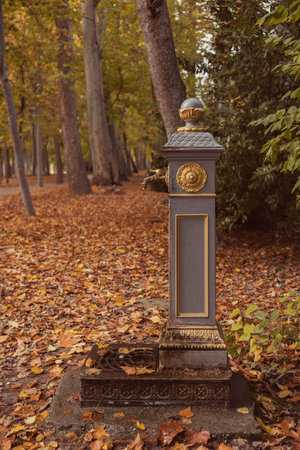 Close-up of an ornate antique iron fountain in autumn surrounded by trees with bright yellow leaves, covered by a carpet of dry leaves. Ideal for themes related to nature, autumn, and urban parks.の写真素材