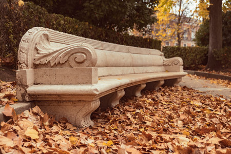 Autumn landscape in a park covered with dry leaves in ocher and reddish-brown colors, surrounded by trees and plants, as well as an empty bench that invites you to sit down and contemplate the beautiful autumn season.の写真素材