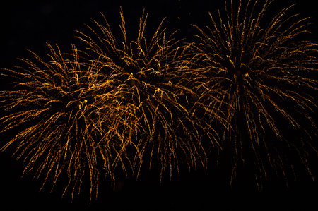 beautiful golden fireworks in the night sky