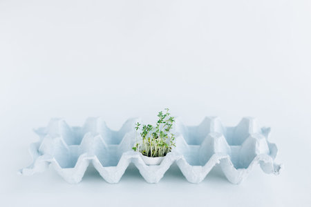 vegan easter concept, micro-green in egg shell,  tray, blueの写真素材