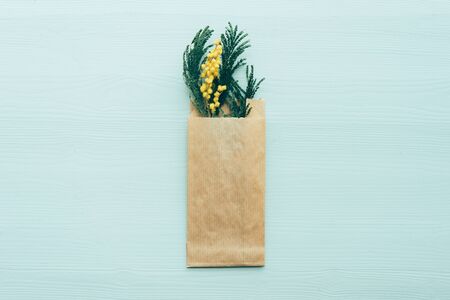 Mimosa branch in Kraft envelope bag on blue backgroundの写真素材