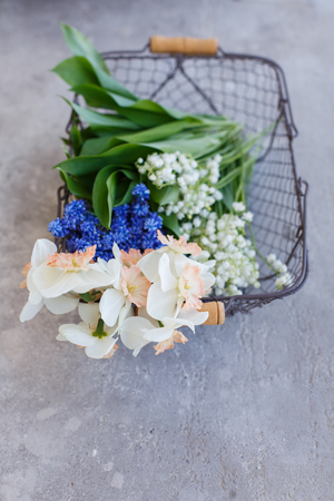 Bouquet of spring flowers in a mesh metal basket on the concrete floor. Pile of daffodils, lilies of the valley, Muscariの写真素材