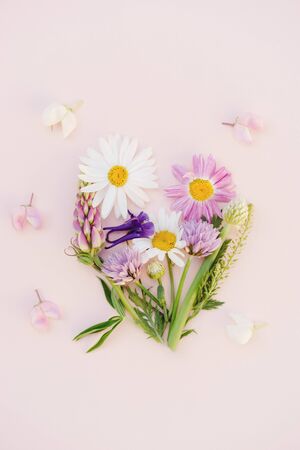 a variety of wild flowers, daisies, lupine, onions and herbs, a flat bouquet in the form of a heart on a paper pink background, Botanical pattern.の写真素材