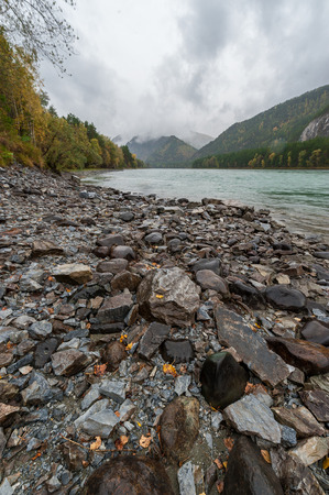 autumn on the shores of the turquoise mountain river Katunのeditorial素材