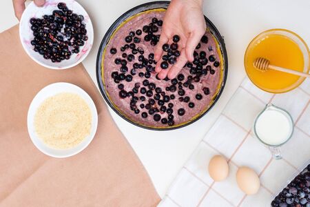 the stages of preparation of a pie with black currants and shortbread crust , fresh berries. the view from the topの写真素材
