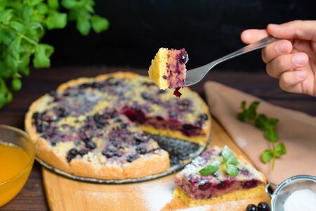 pie with black currant and shortbread, fresh berries. the pie is cut into pieces and the top is sprinkled with powdered sugar . close-up of a piece in the pie section.の写真素材