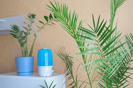 the air humidifier is used in the room to increase air humidity and the health of plants and people . close-up of the release of steam into the air.の写真素材