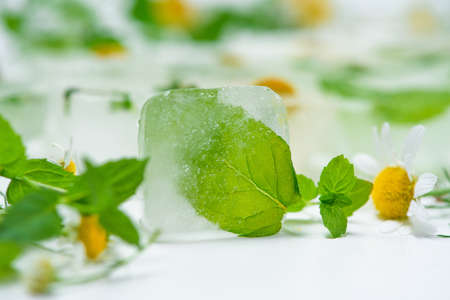 cosmetic ice cubes with chamomile and mint for home care applies to the face. The concept of skin care. cosmetics with herbs on a light background.の写真素材