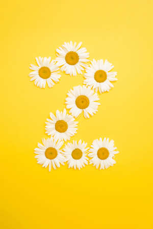 number two on a yellow background of chamomile flowers, background image. spring composition.の写真素材
