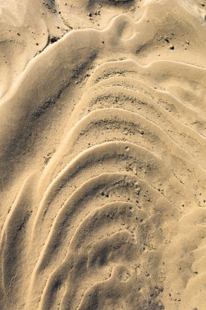 the texture of the sand is yellow. close up. background image